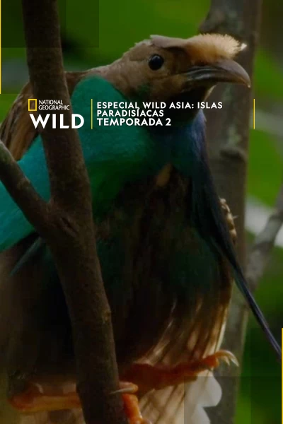 Especial Wild Asia: Islas paradisíacas