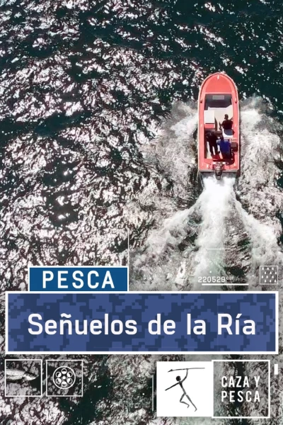 Señuelos de la ría