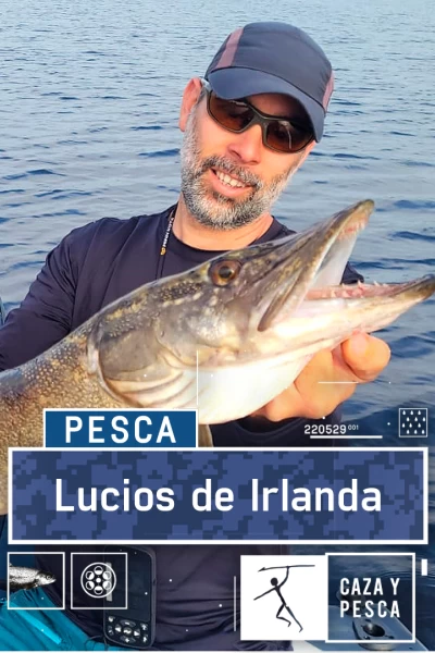 Lucios de Irlanda