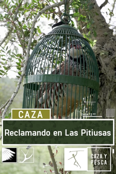 Reclamando en Las Pitiusas
