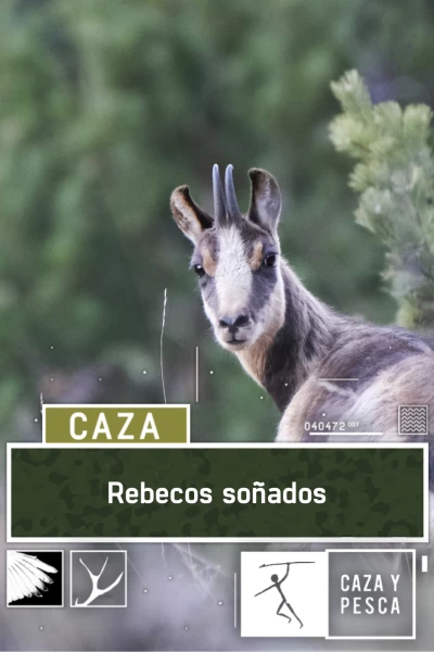 Rebecos soñados