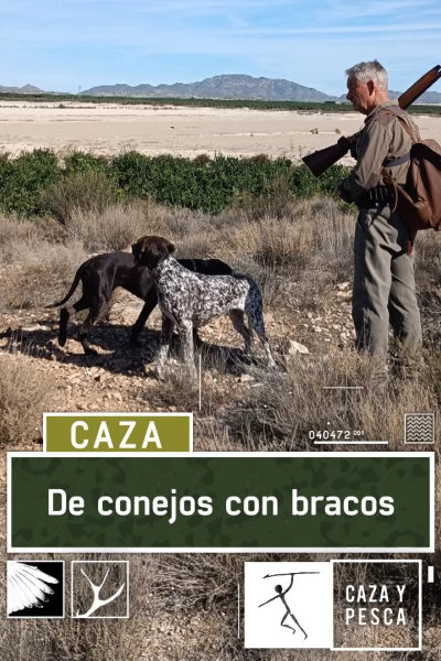De conejos con bracos