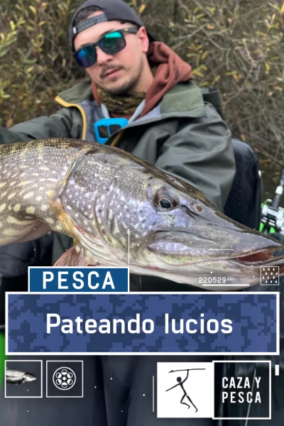 Pateando lucios