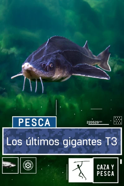 Los últimos gigantes