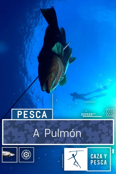 A pulmón