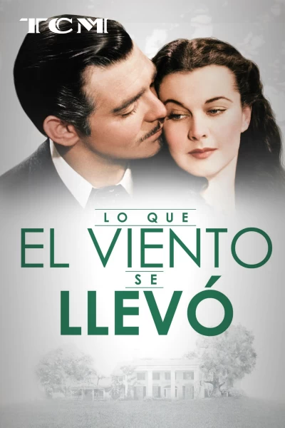 Lo que el viento se llevó