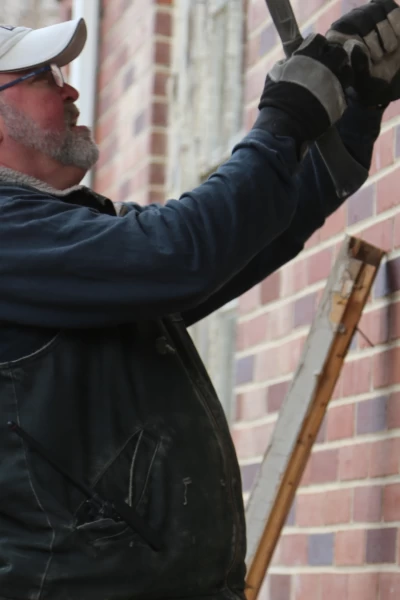 Restauradores al rescate. T(T8). Restauradores al... (T8): Profesorado