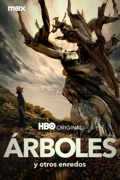 Árboles y otros enredos