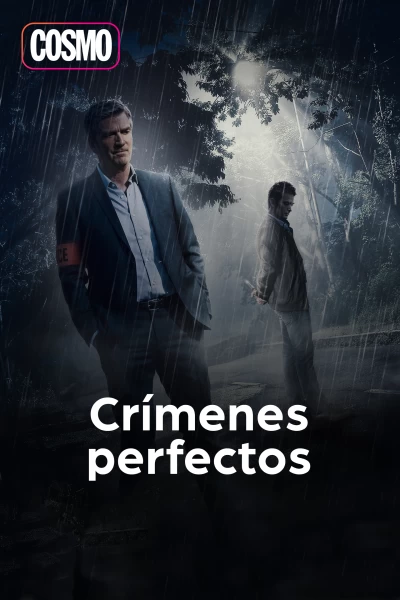 Crímenes perfectos