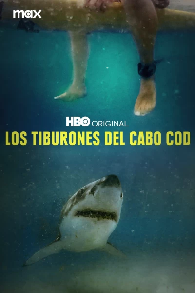 Los tiburones del Cabo Cod