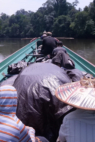 Fish Or Die. Fish Or Die: No pierdas la cabeza