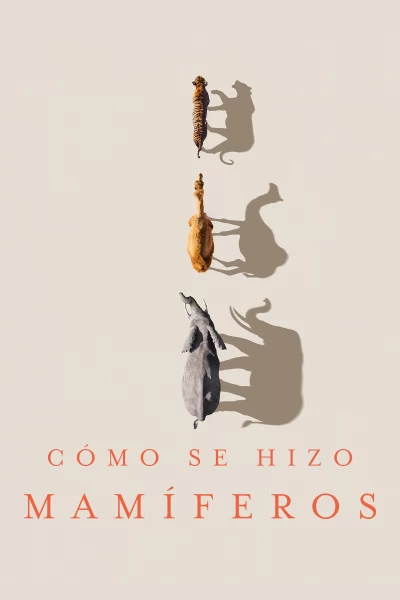 Cómo se hizo Mamíferos