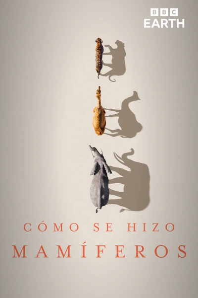 Cómo se hizo Mamíferos