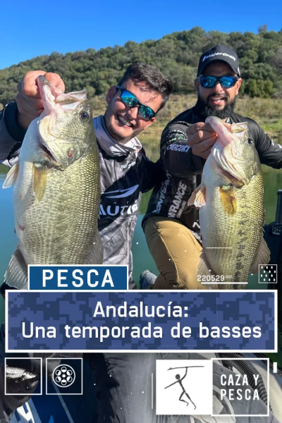 Andalucía: Una temporada de basses
