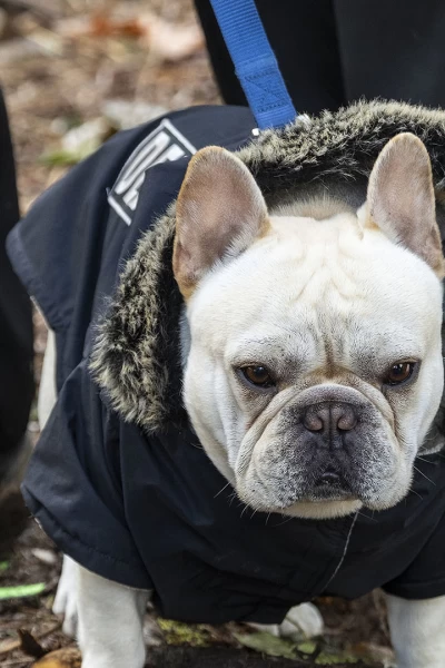 Resident Alien. T(T3). Resident Alien (T3): Ep.8 Vuelta a casa