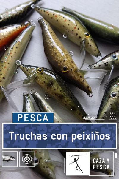 Truchas con peixiños