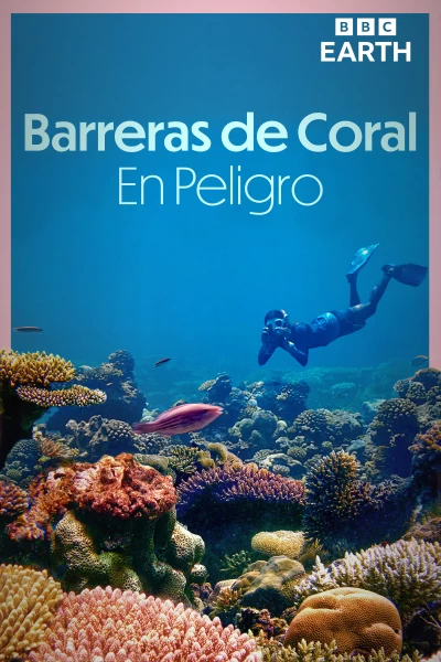 Barreras de coral en peligro