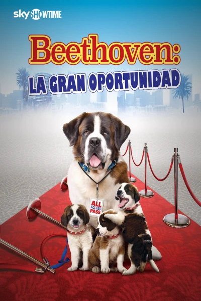 Beethoven: la gran oportunidad