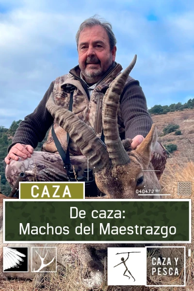De caza: machos del Maestrazgo