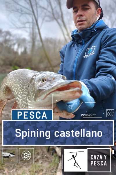 Spinning castellano