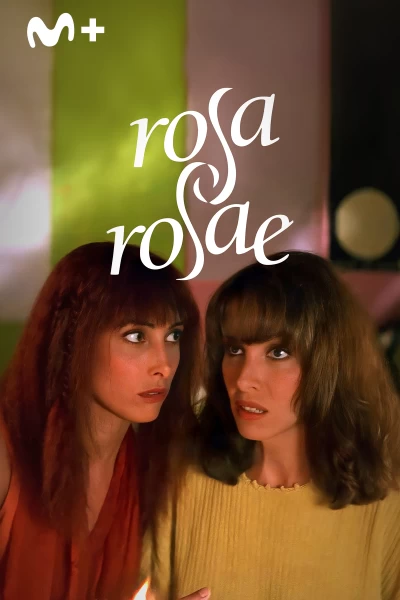 Rosa, Rosae