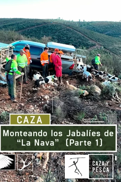 Monteando los jabalies de La Nava. 1º Parte