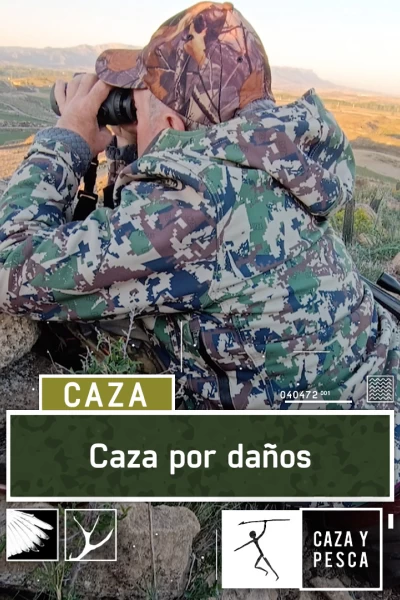 Caza por daños