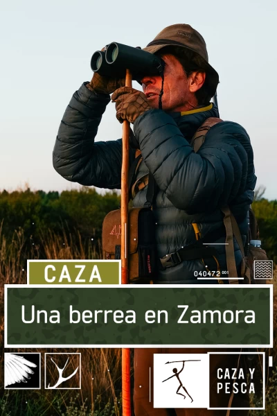 Una berrea en Zamora