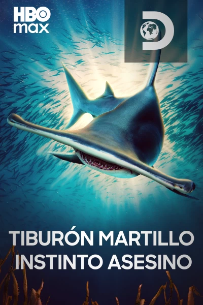 Tiburón martillo: instinto asesino
