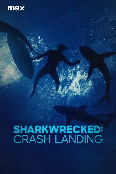 Naufragio entre tiburones 2