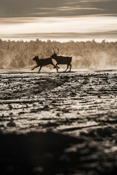 Nuestro planeta (One Strange Rock). Nuestro planeta (One...: Terraformación