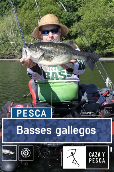 Basses gallegos
