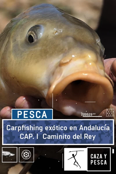 Carpfishing exótico en Andalucia. T(T1). Carpfishing... (T1): Conde de Guadalhorce