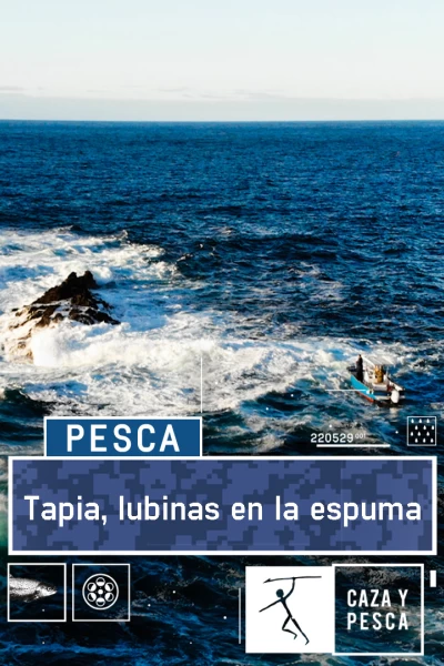 Tapia, lubinas en la espuma