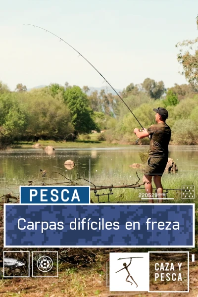 Carpas difíciles en freza