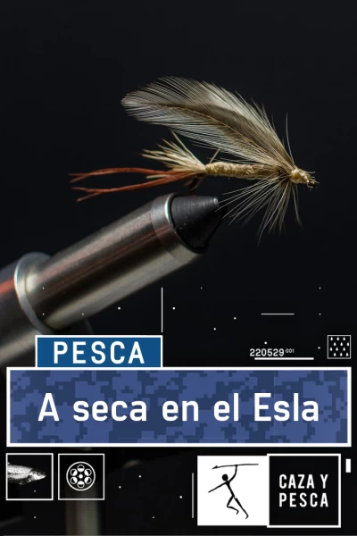 A seca en el Esla