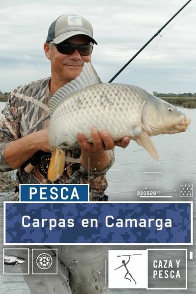 Carpas en  Camarga