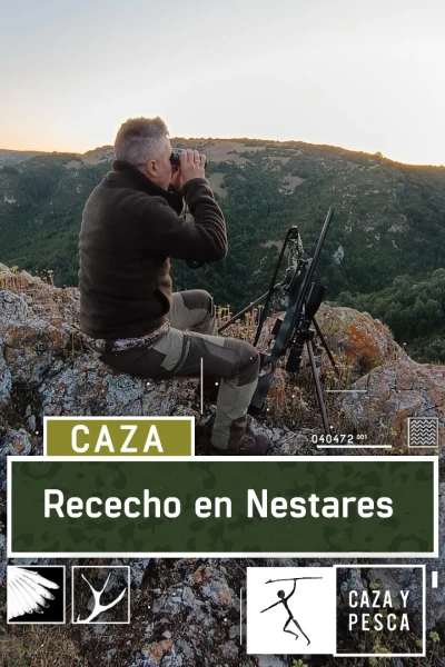 Rececho en Nestares