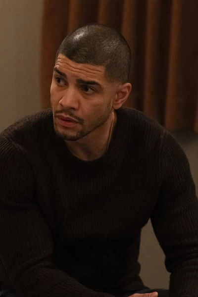 Ley y Orden: Crimen organizado. T(T4). Ley y Orden:... (T4): Ep.5 