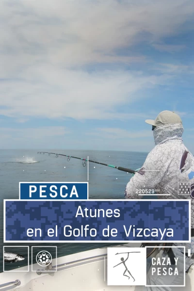 Atunes en el Golfo de Vizcaya