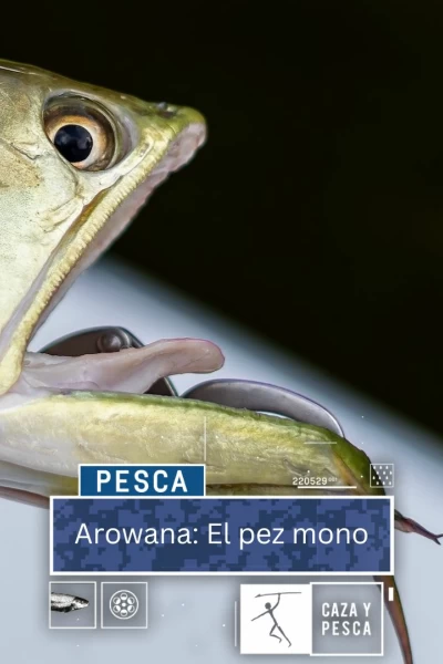 Arowana: el pez mono