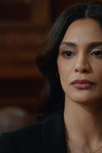Ley y orden. T(T22). Ley y orden (T22): Ep.12 Casi famoso