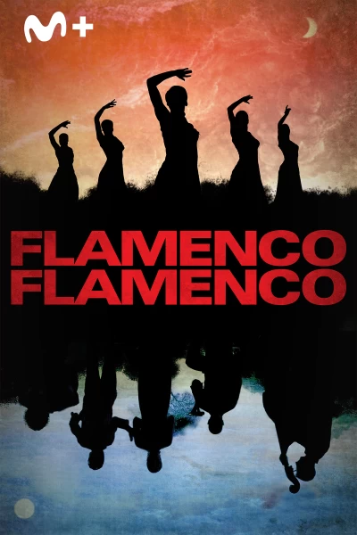 Flamenco, Flamenco