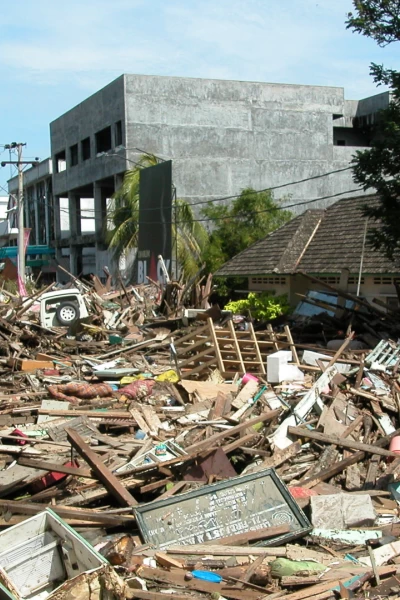 Tsunami: La carrera contra el tiempo. Tsunami: La carrera...: La ola