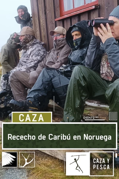 Rececho de Caribú en Noruega