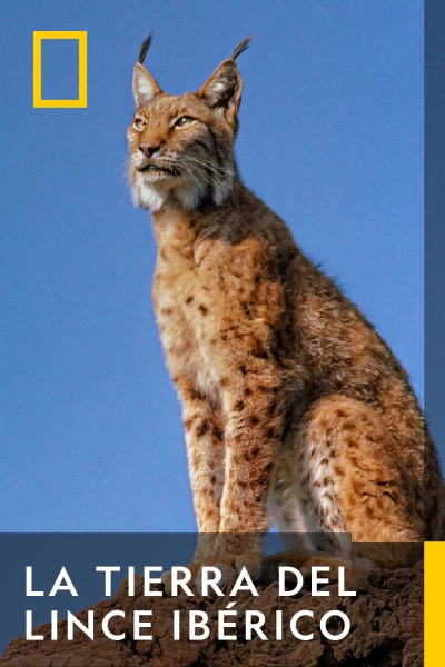 La tierra del lince ibérico