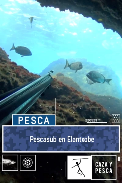 Pescasub en Elantxobe