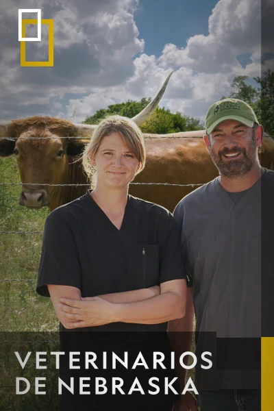 Veterinarios de Nebraska