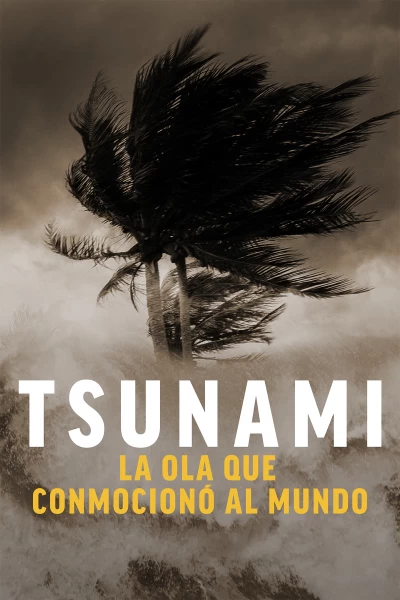 Tsunami: la ola que conmocionó al mundo