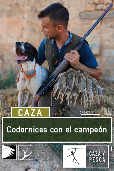 Codornices con el campeón